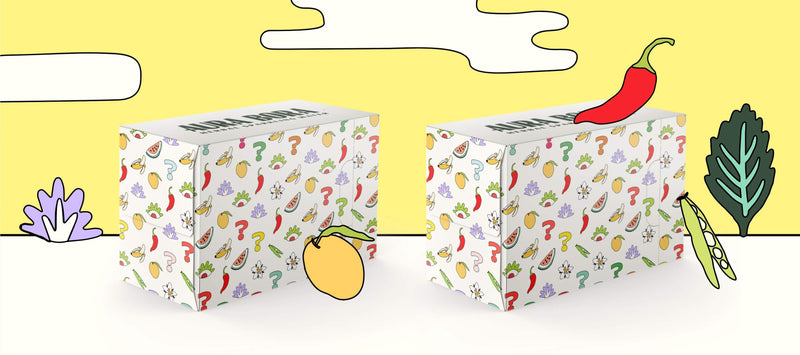 Landscape illustration with two mystery boxes