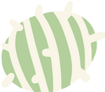 Cactus Essence