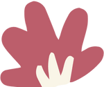 Rose petal