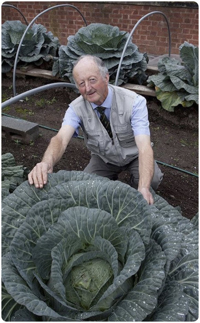 gardener posing with his giant cabbage
