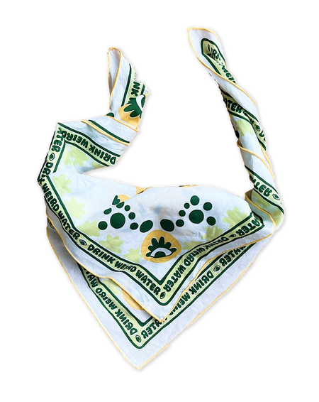 Image of Citrus Bandana with link to its product page